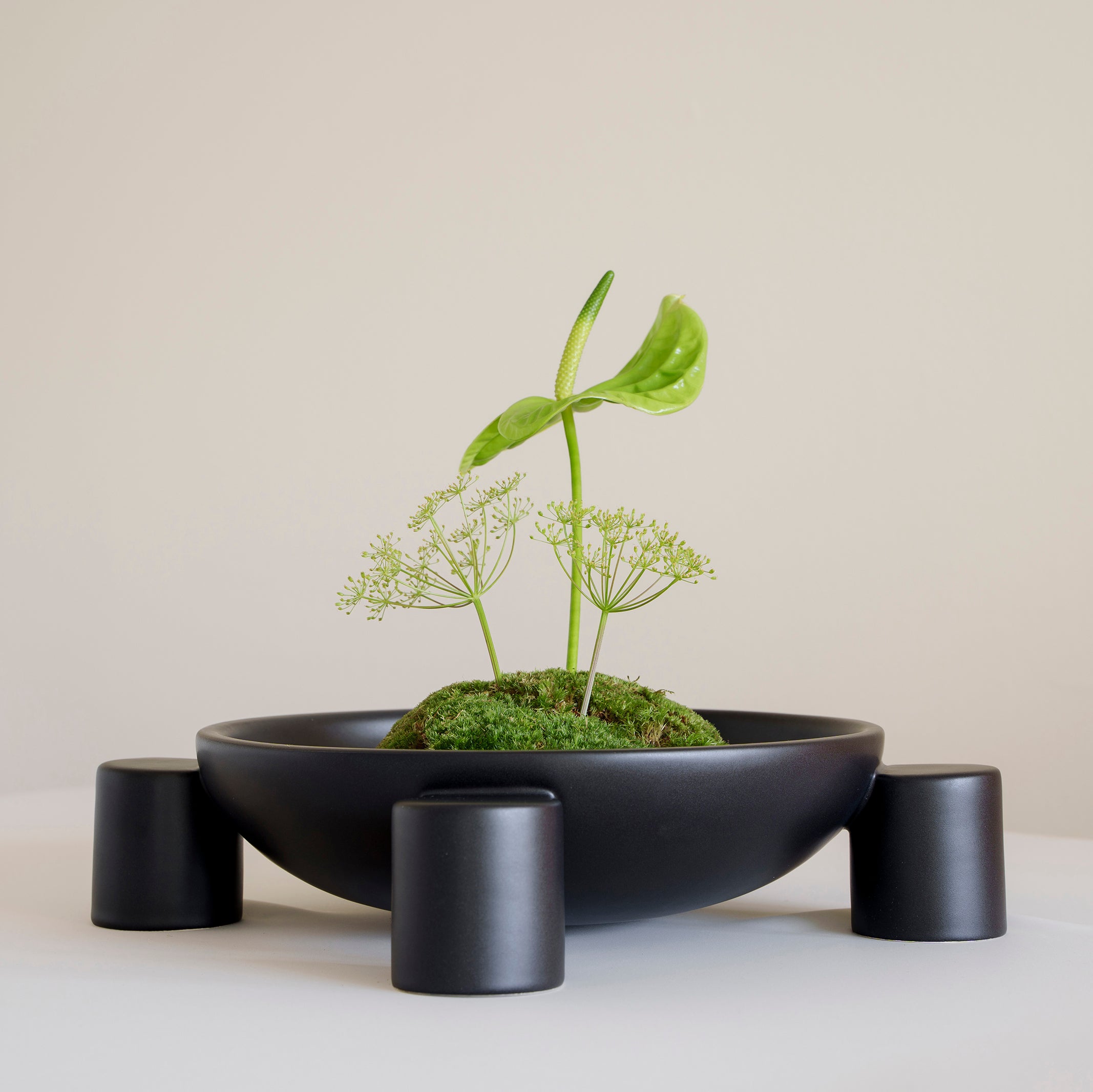 Roma Bowl - Black