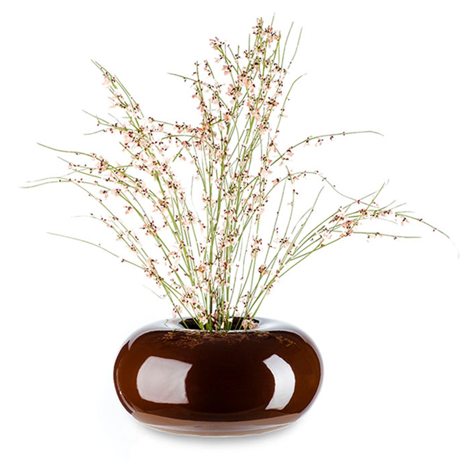 Dolce Vase - Brown