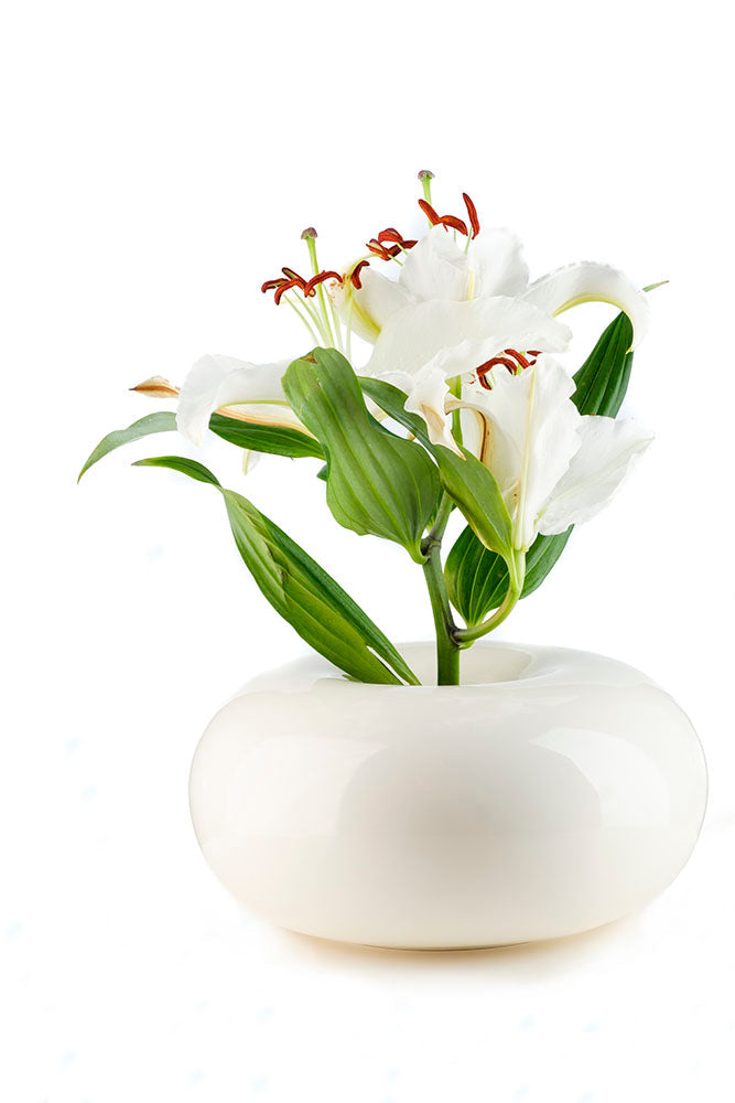 Dolce Vase - Cream