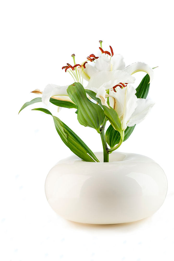 Dolce Vase - Cream